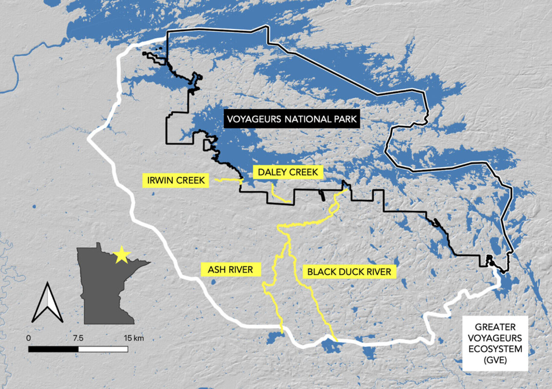 美国明尼苏达州的狼在春天转向以鱼类为主要食物来源