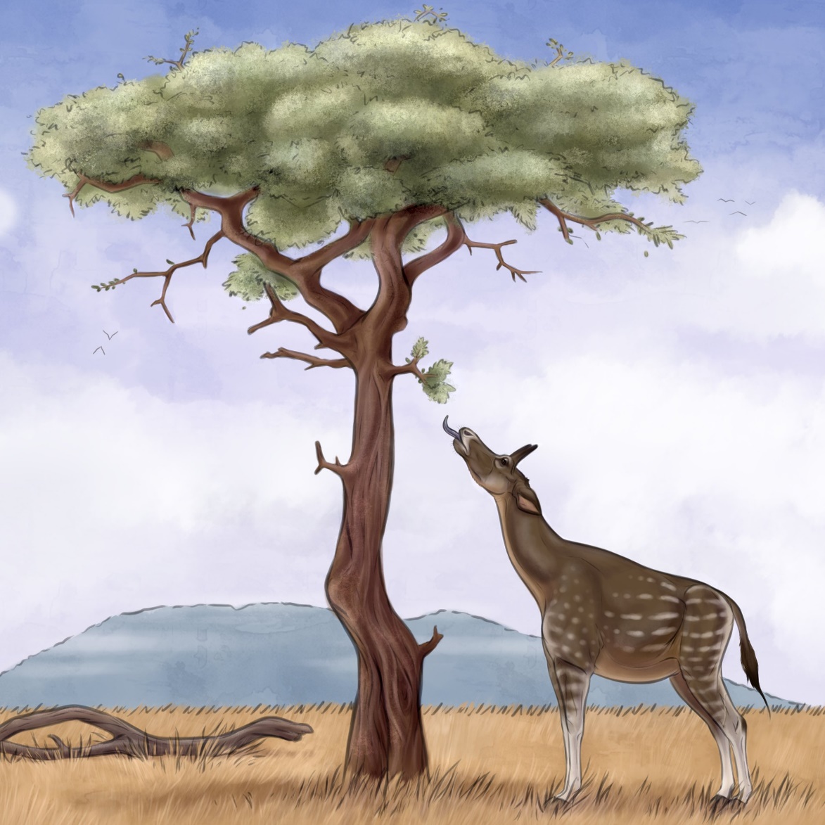 《历史生物学》:临夏盆地古麟属化石研究新进展