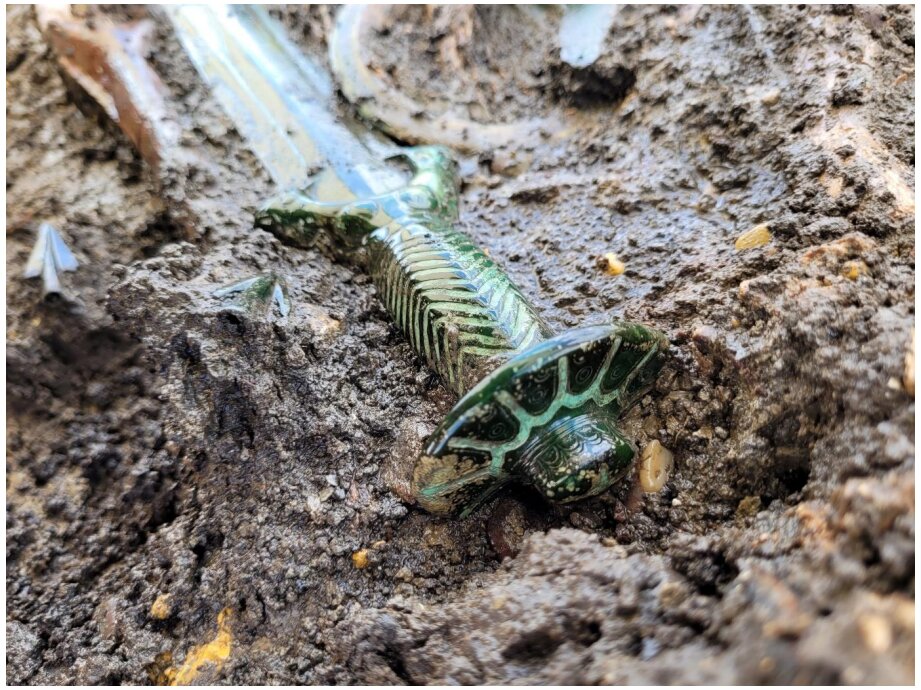 �¹�����ѧ�ҷ���3000����ǰ��ͭʱ���Ľ������������������