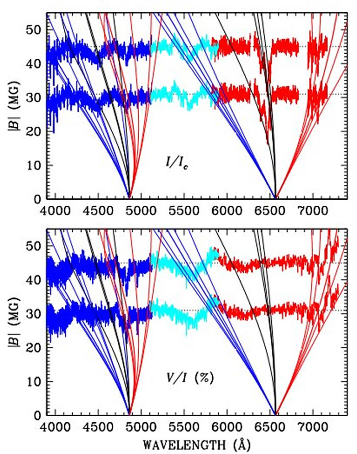 �װ��ǵ�ǿ�ų���Ū�˿�ѧ�ң���������Ϊ���῿�����ǵ�̫��ϵ