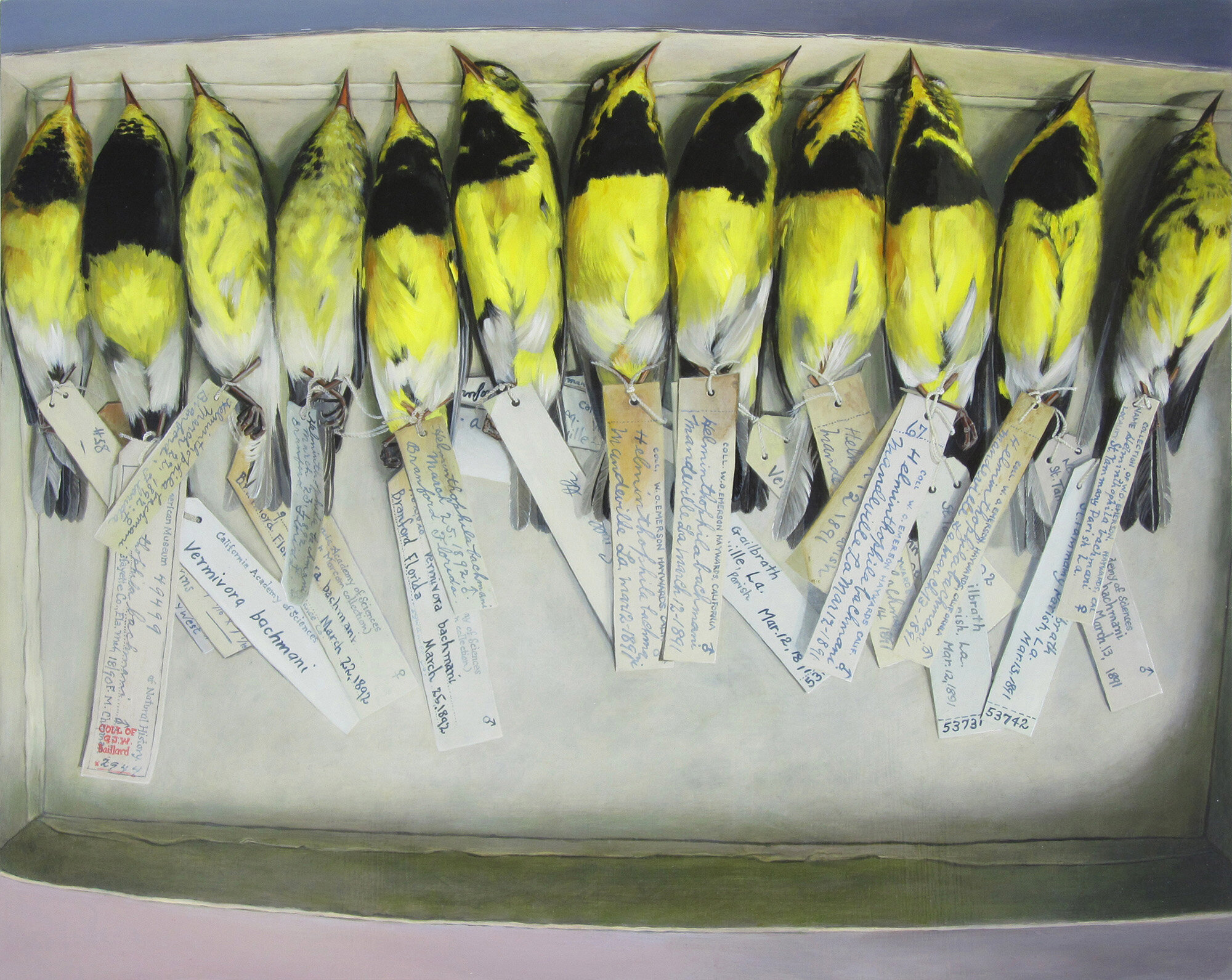 �µ��о������ͺ���ݺ��һ�����ص�����