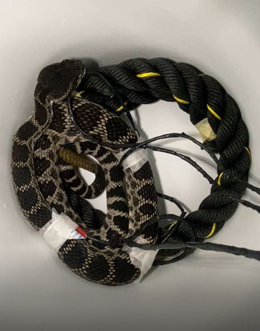 ���ŵ���β���ڸ��������ѡ�������±��ƽ��