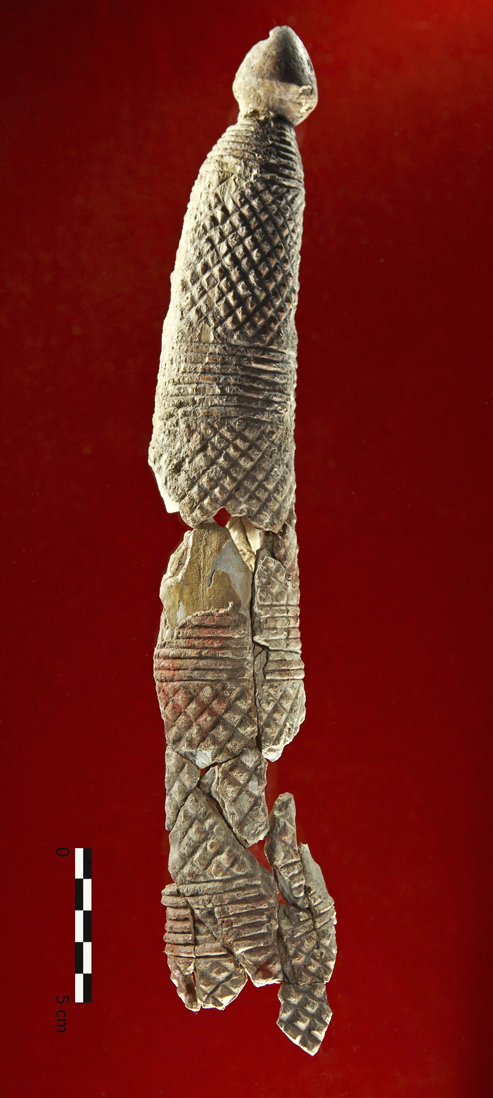 新研究显示在古代西班牙5000年的奢华坟墓属于“象牙夫人”,而不是男人