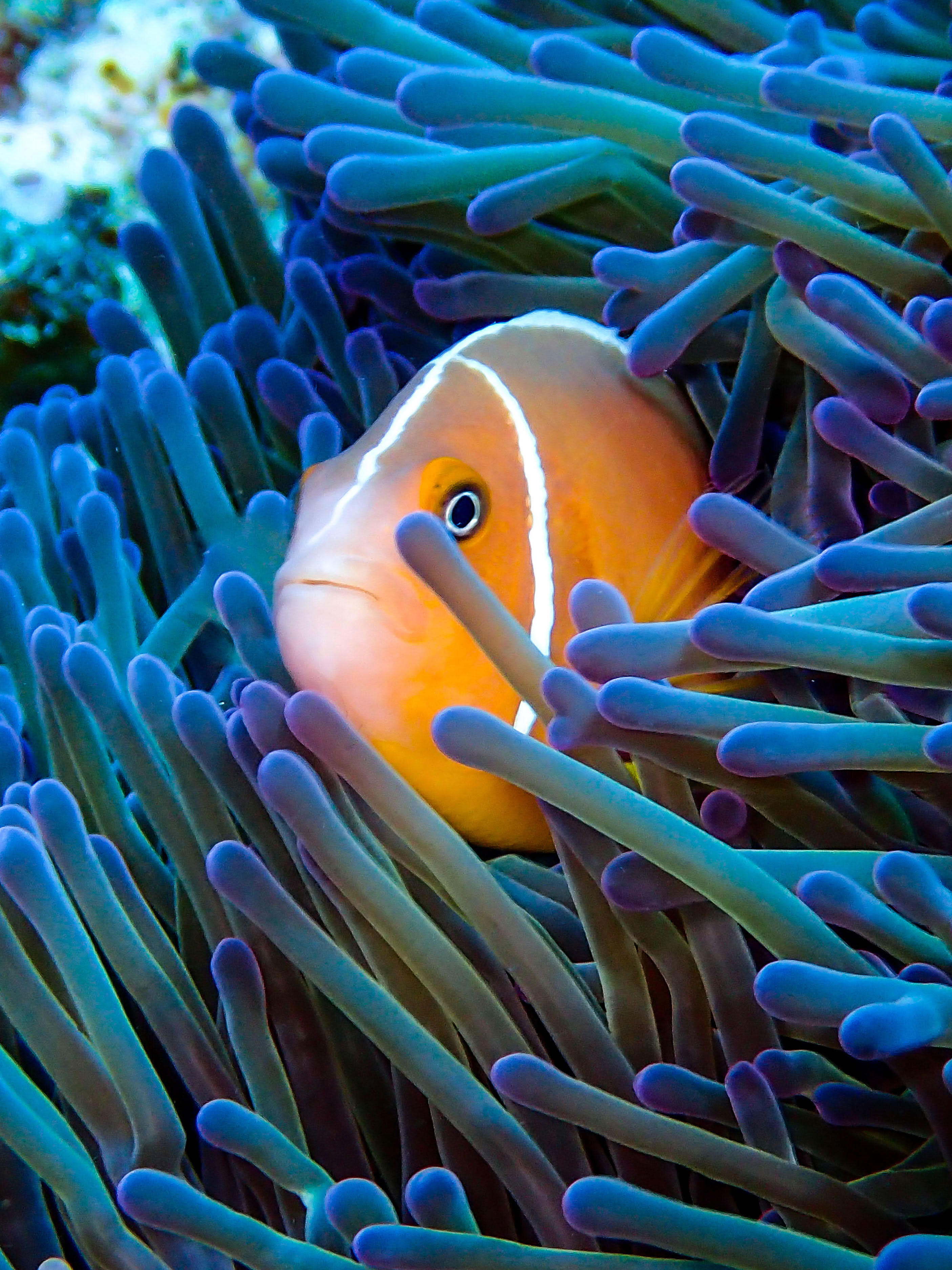 ����ѧ�������о�С����Ľ���