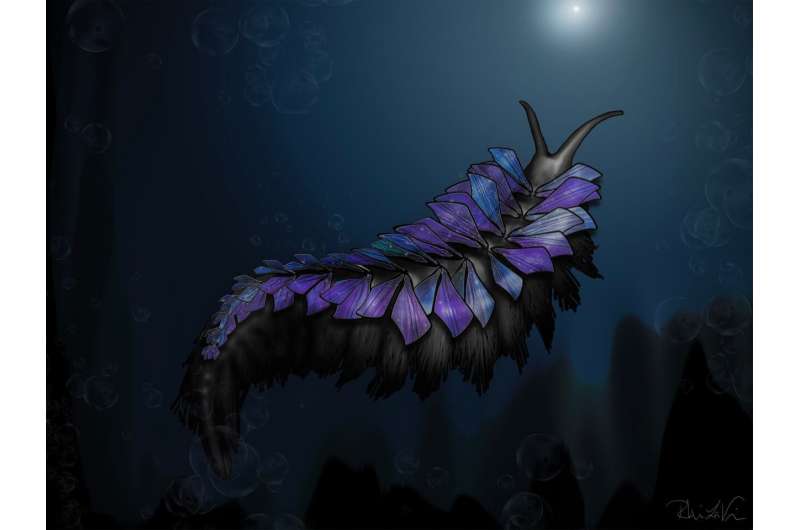 оṩԡɳ𡱹5ǰһƳ