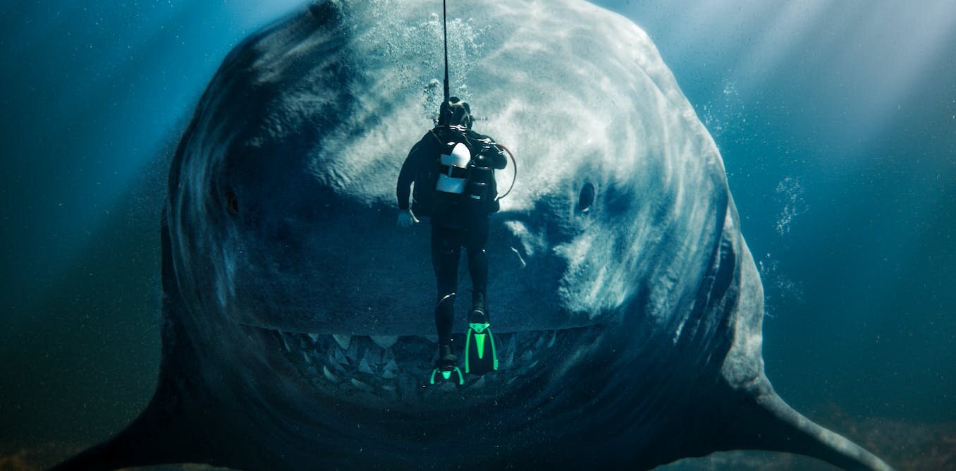 梅格2:灭绝巨齿鲨的真相,为什么这部荒谬的电影可以激励未来的古生物学家