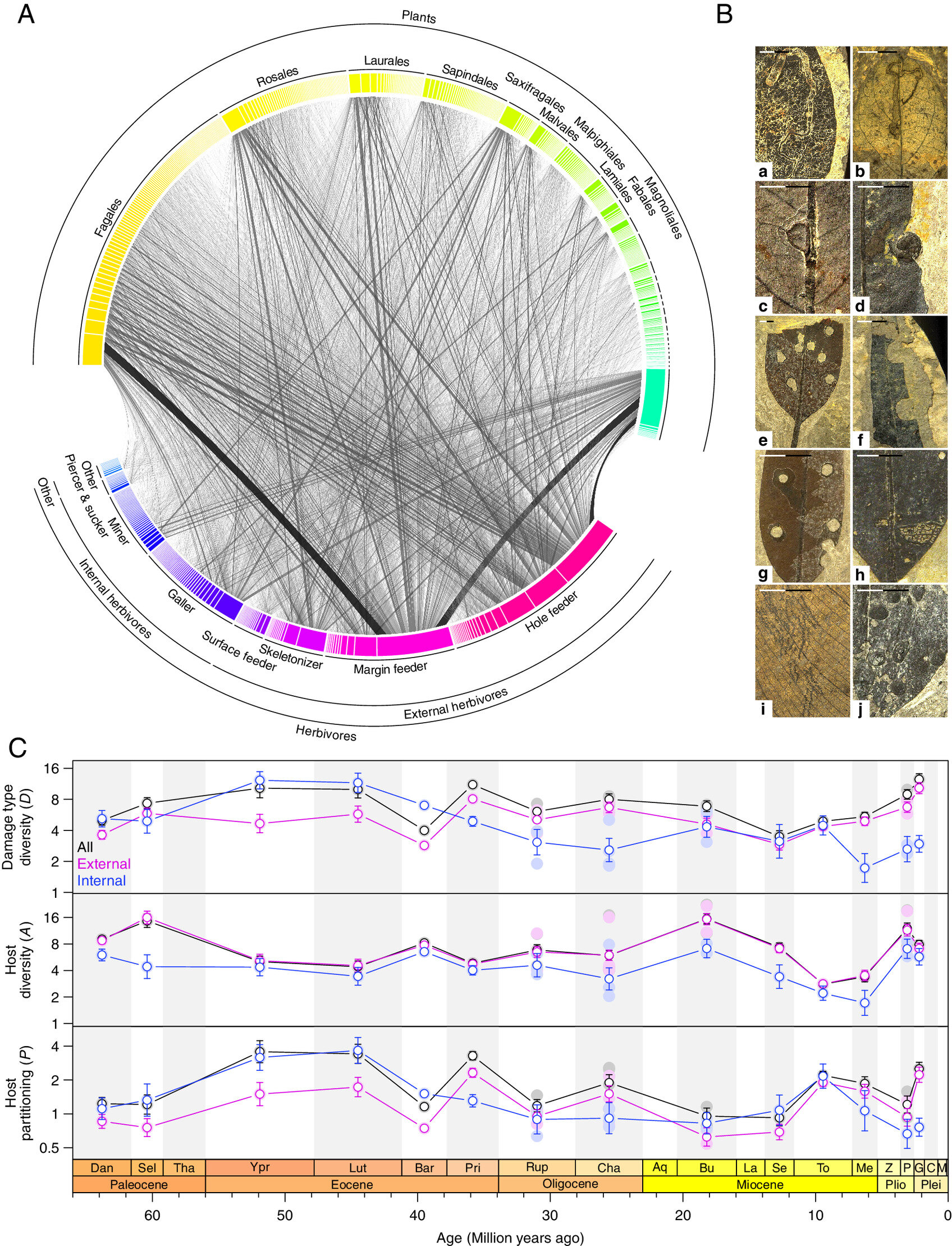 ʯҶϵĽʳۼоԱʶ¾޴ʳݶԵ