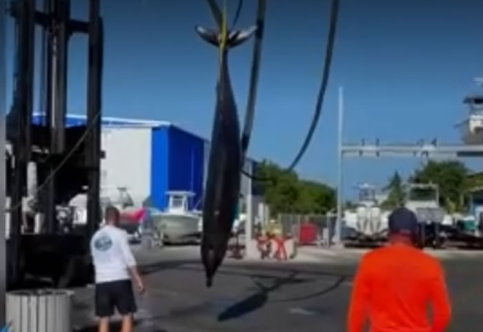 һֻľ㡰๾ڷȺѧڵ