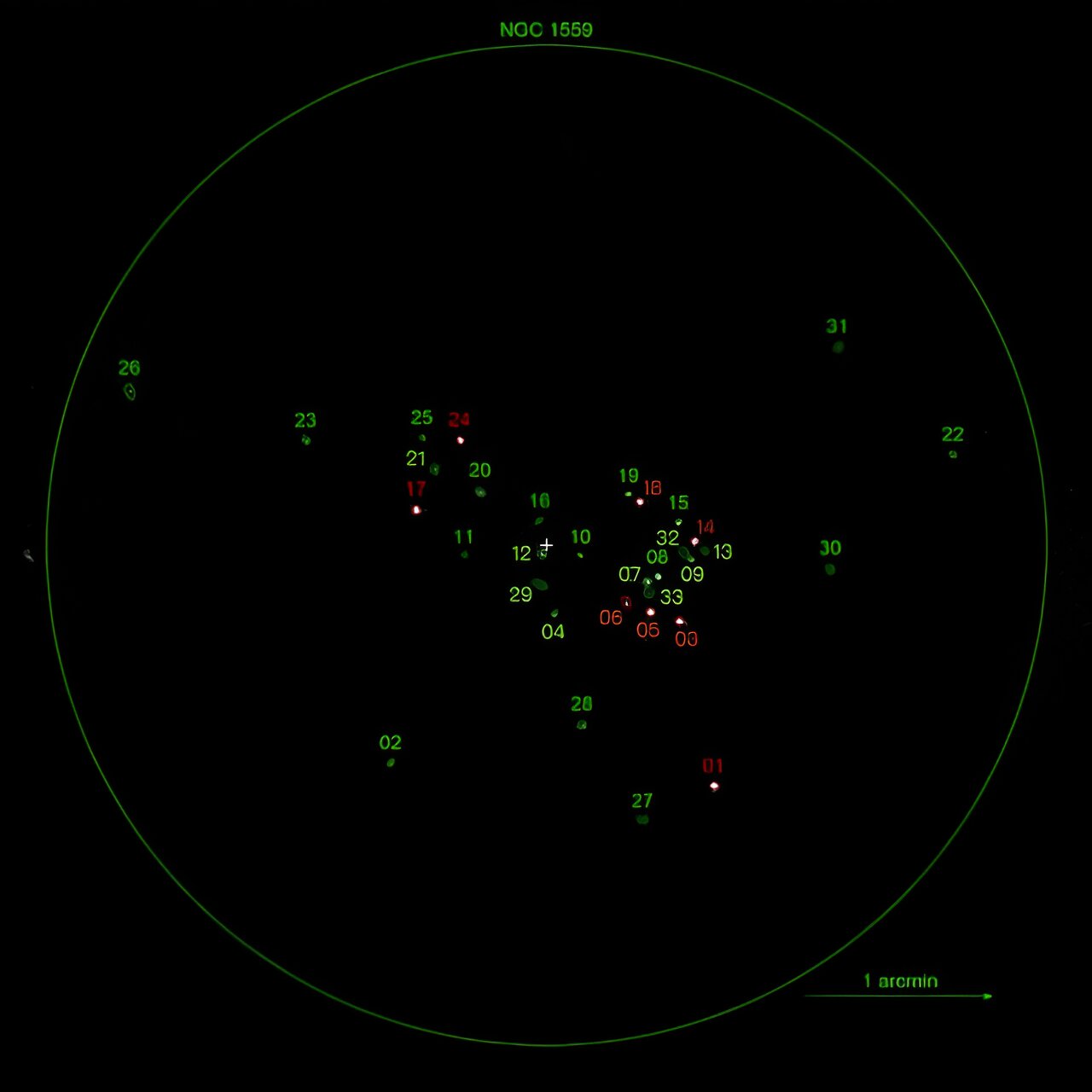 ����ѧ������ϵNGC 1559�з����˰˸�����X����Դ