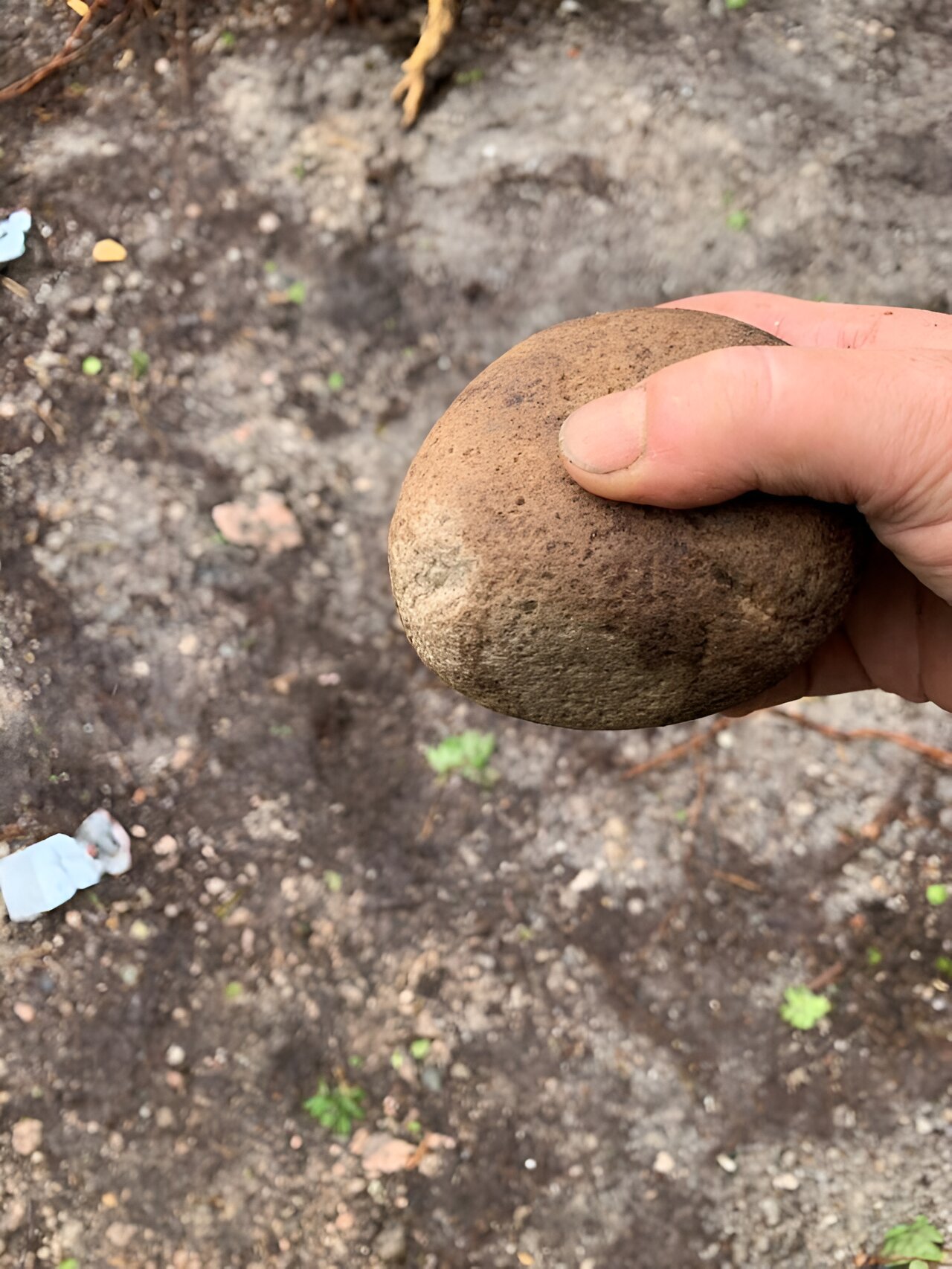 挪威中部罕见的石器时代发现