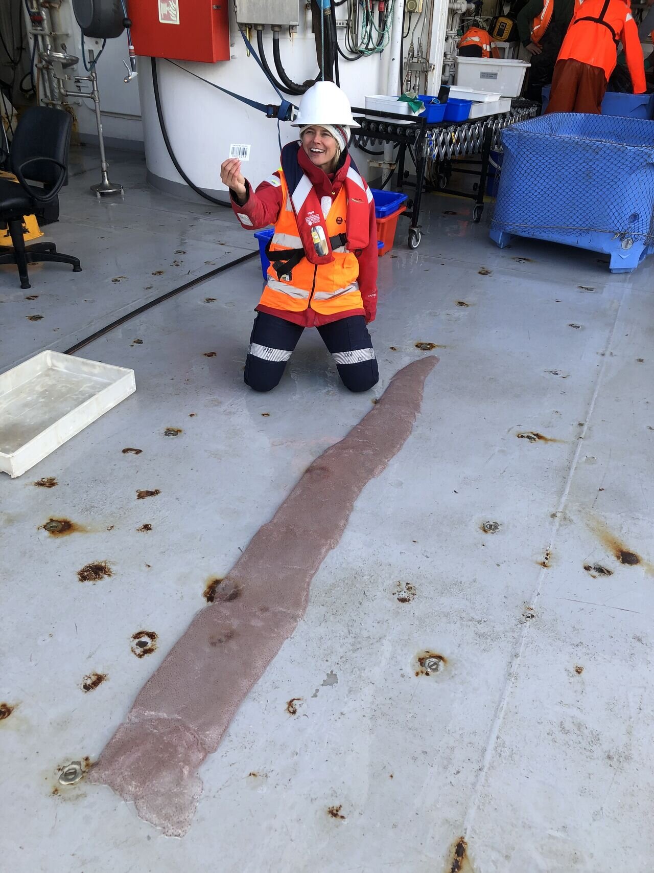 25年来首次发现罕见的手鱼