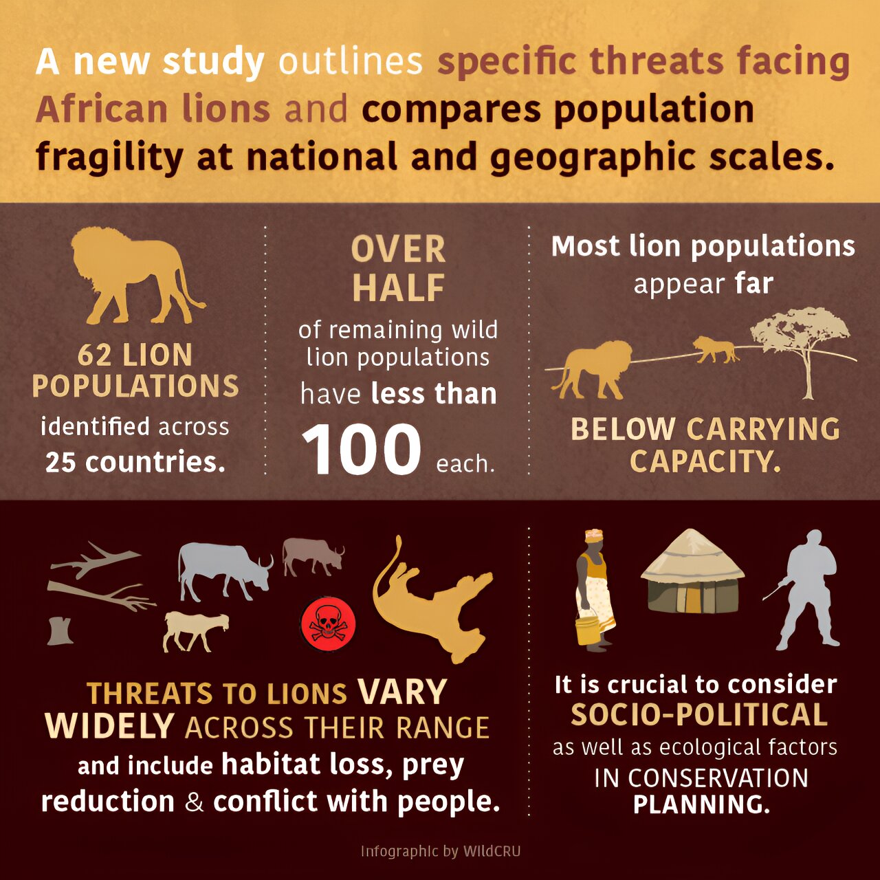 新的分析揭示了非洲狮种群面临的不同威胁