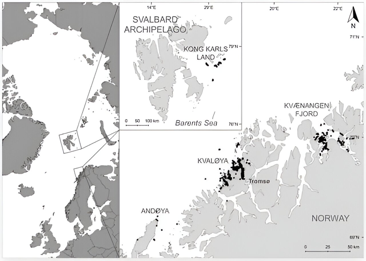 ;ͣԵ㶫ΪʲôⱱǨʳϰߺҪ