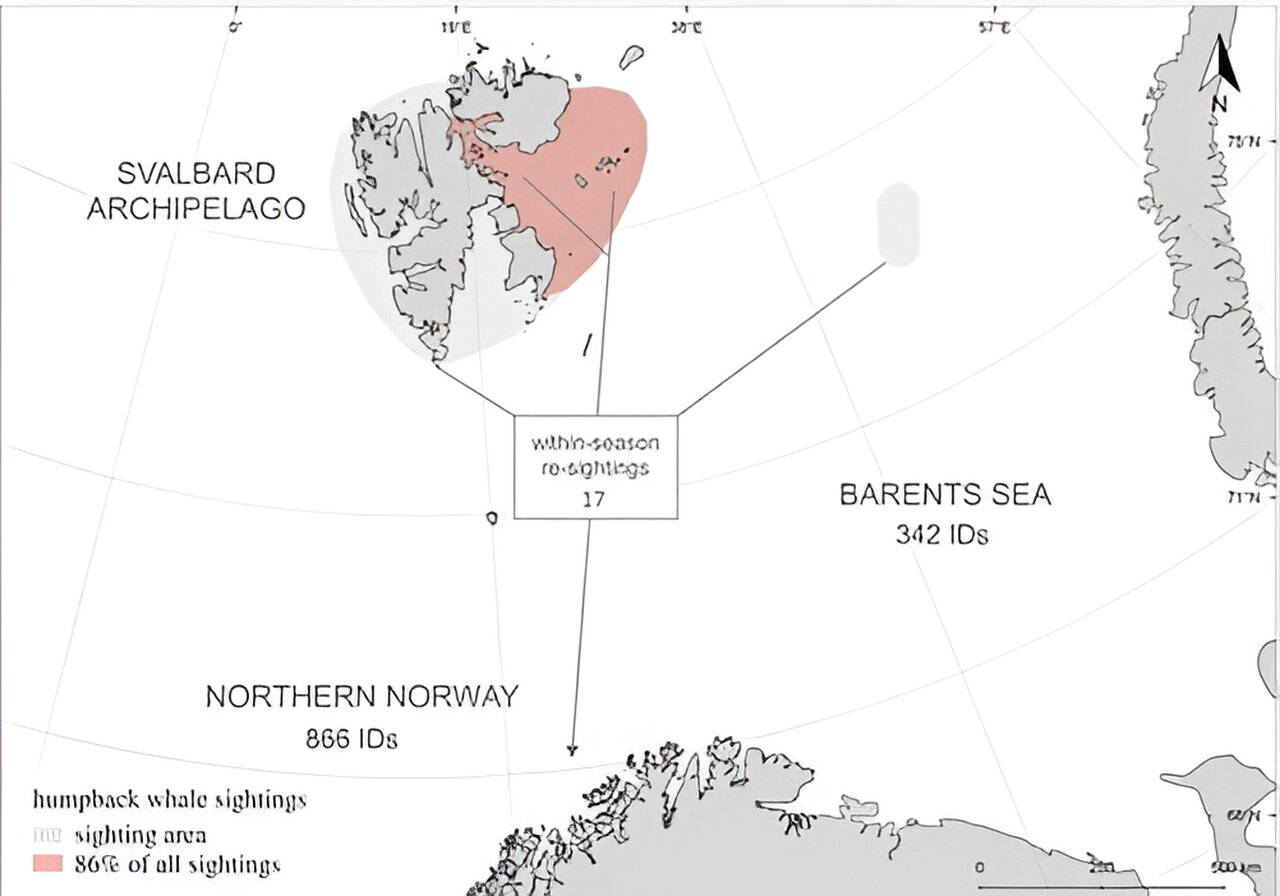 ;ͣԵ㶫ΪʲôⱱǨʳϰߺҪ