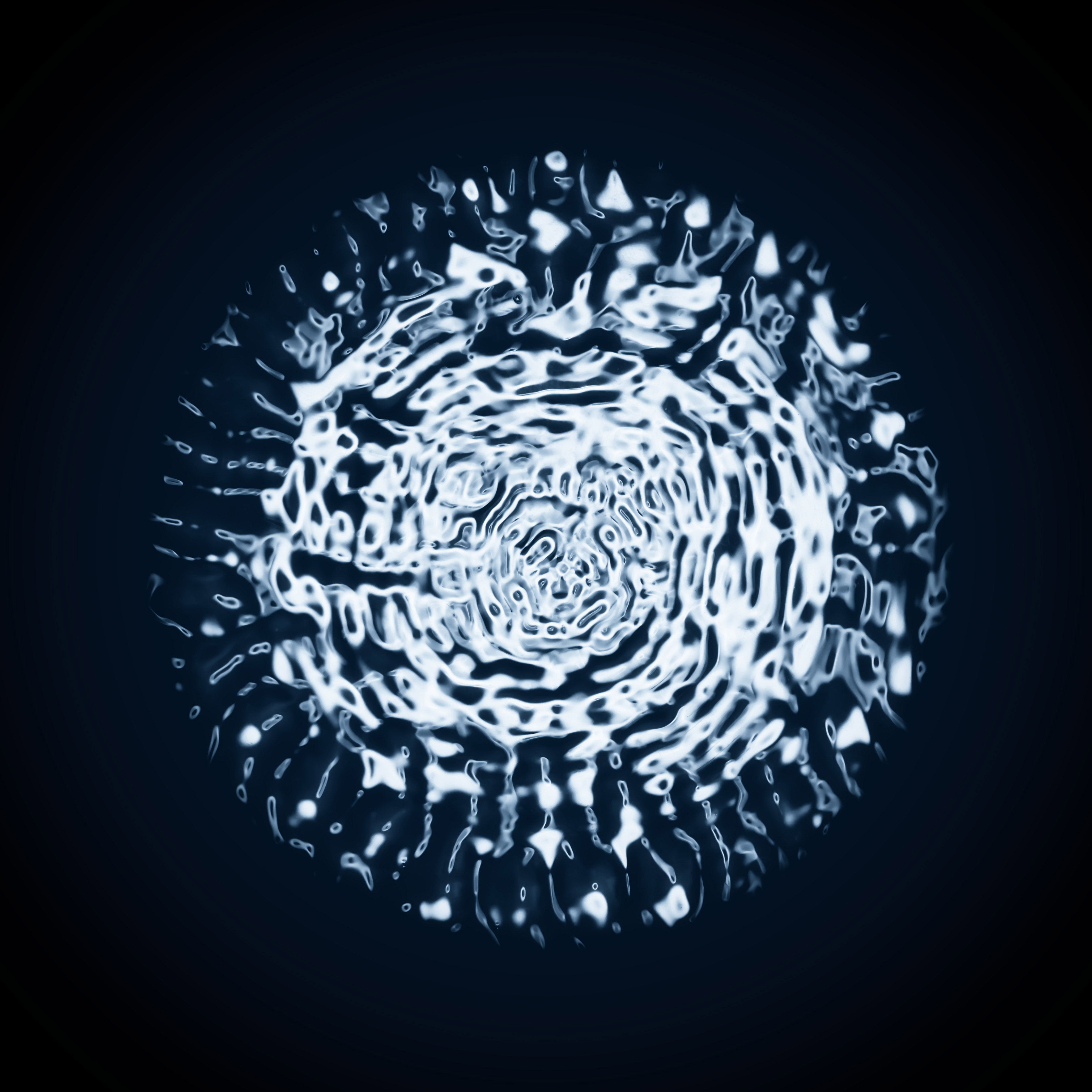 格林威治皇家天文台宣布2023年天文摄影师的获奖者