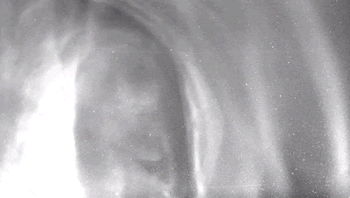 �����������̫��̽�����ɹ���Ҫ�������������䣬���Ҵ������������������