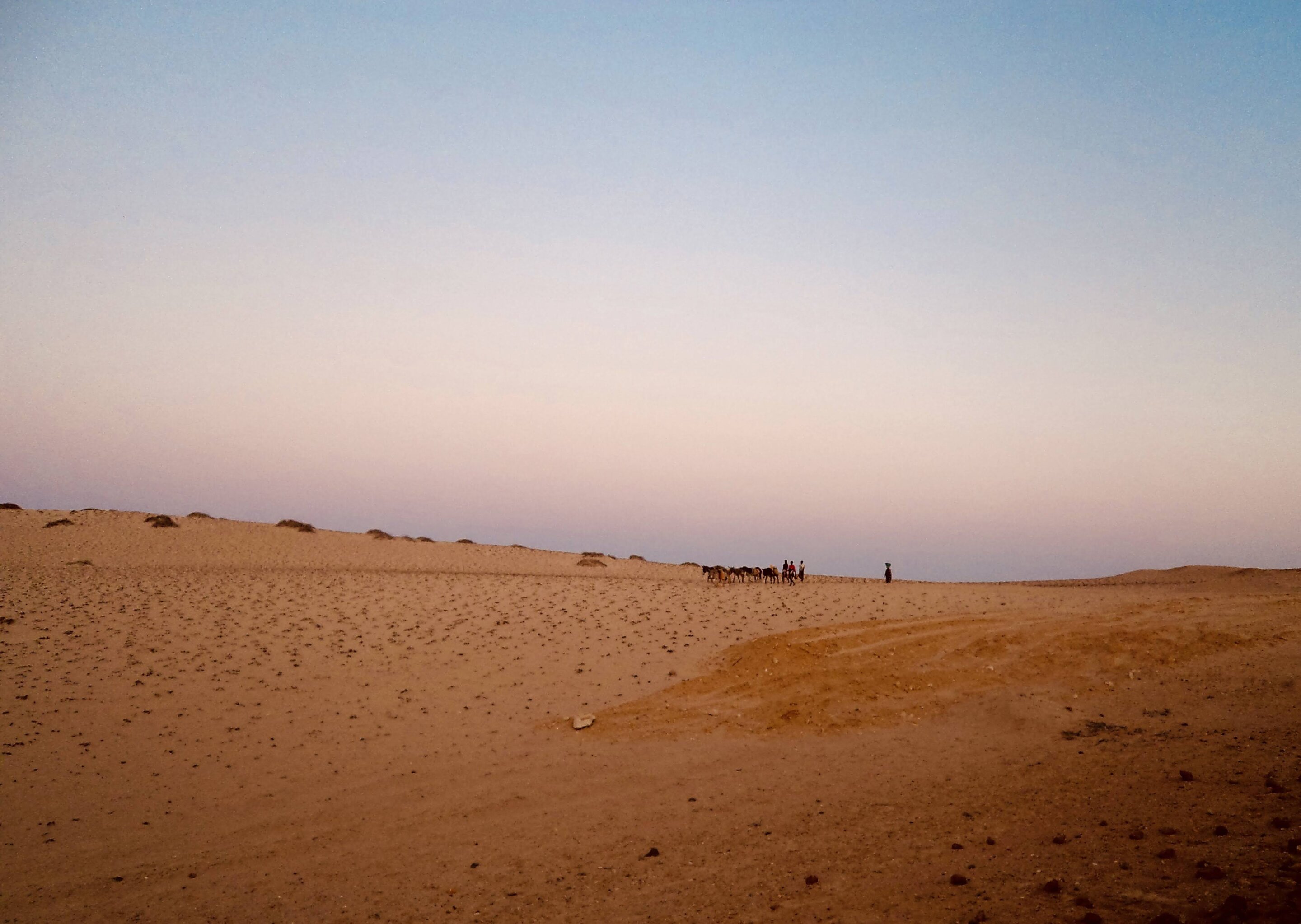 非洲的深层基因结构揭示了安哥拉纳米布居民的独特祖先