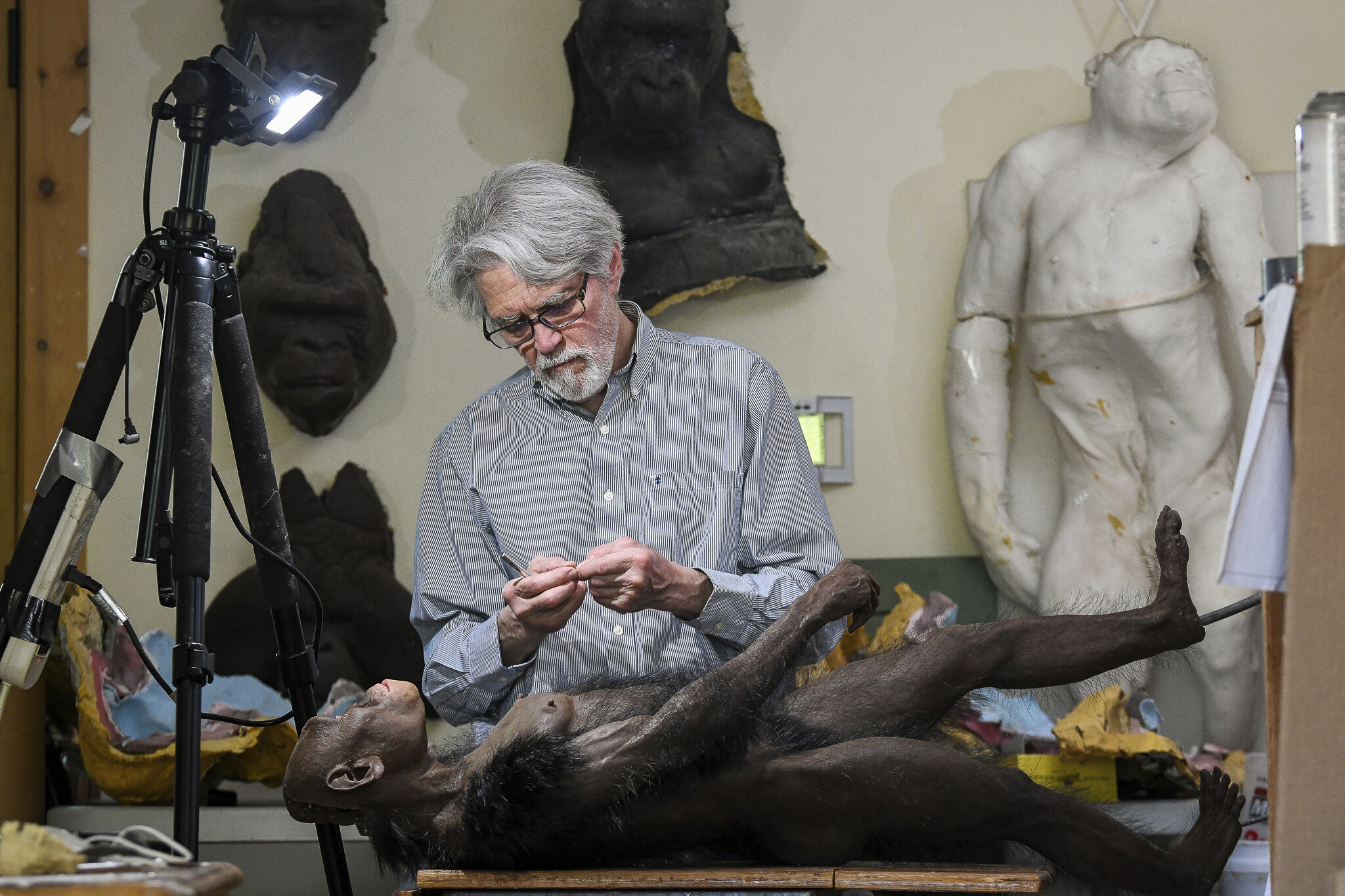 科学描绘了一幅远古时代的新画面,那时我们与其他种类的人类混合和交配