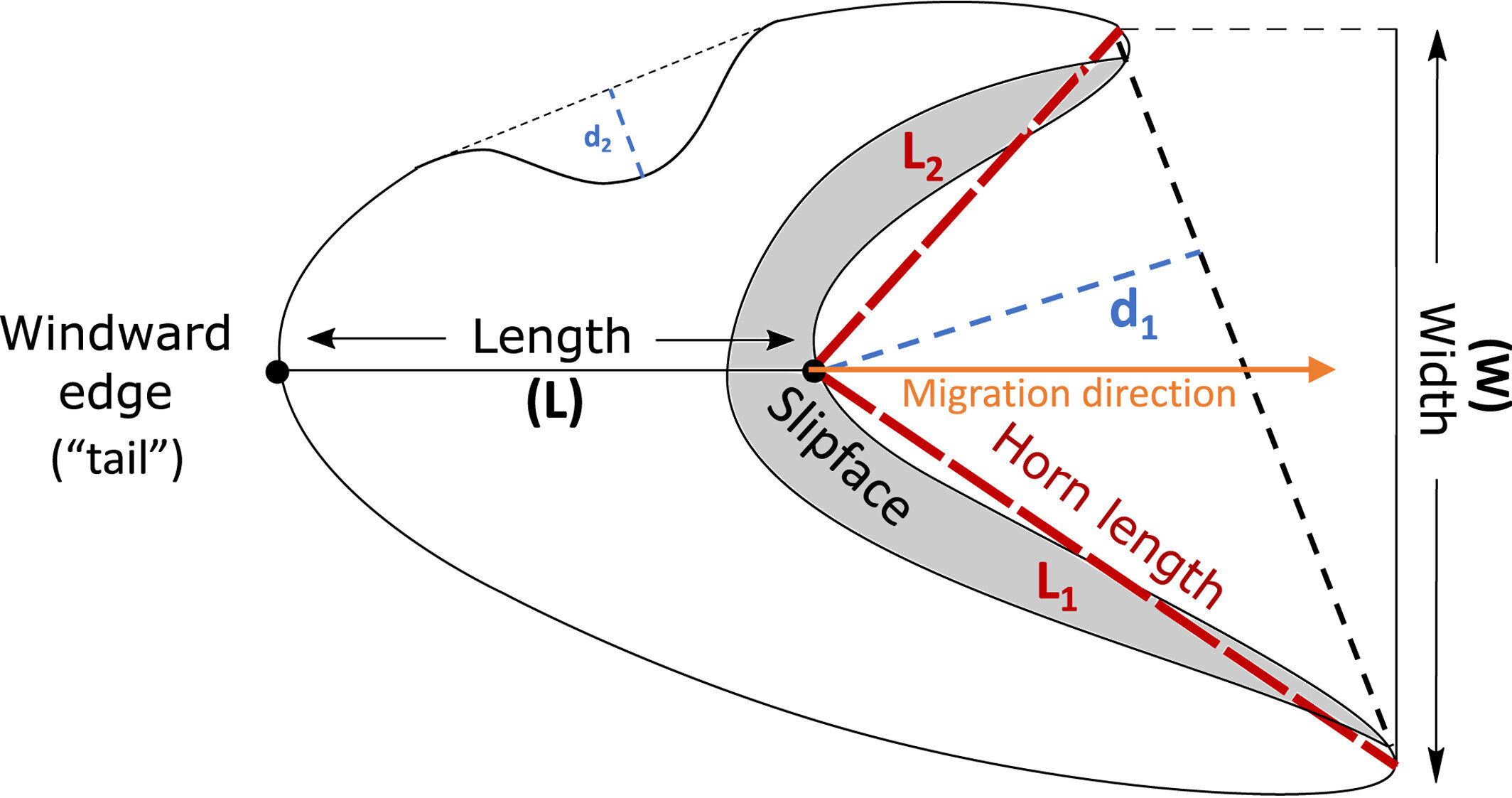 沙丘揭示了火星上的大气风模式