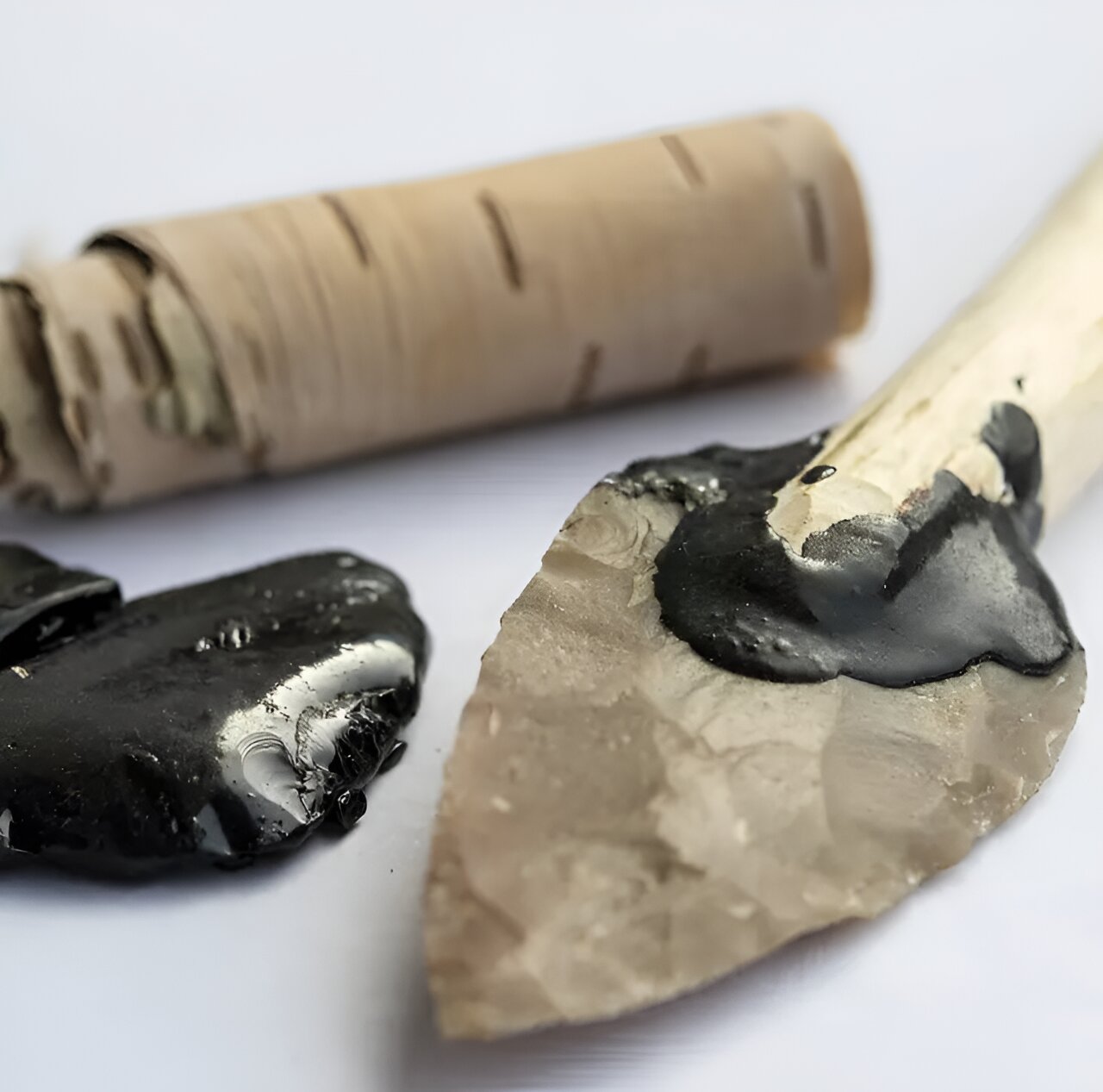 粘合技术的建模为史前认知提供了新的线索