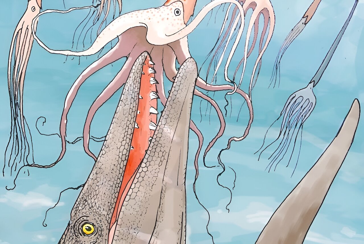 摩洛哥的化石揭示了6600万年前海洋生物惊人的多样性,就在小行星撞击地球之前