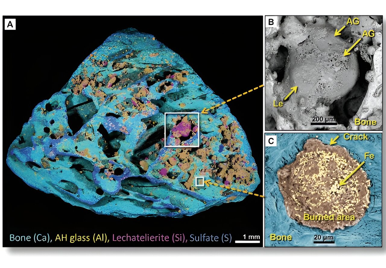 ���������跲��ũҵ����֮ǰ��������һ��ʷǰ���Ǵ�ը