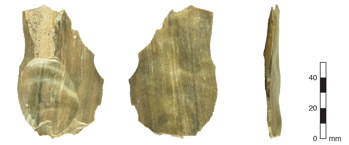 研究人员发现早期人类移民沿着郁郁葱葱的走廊路线离开非洲