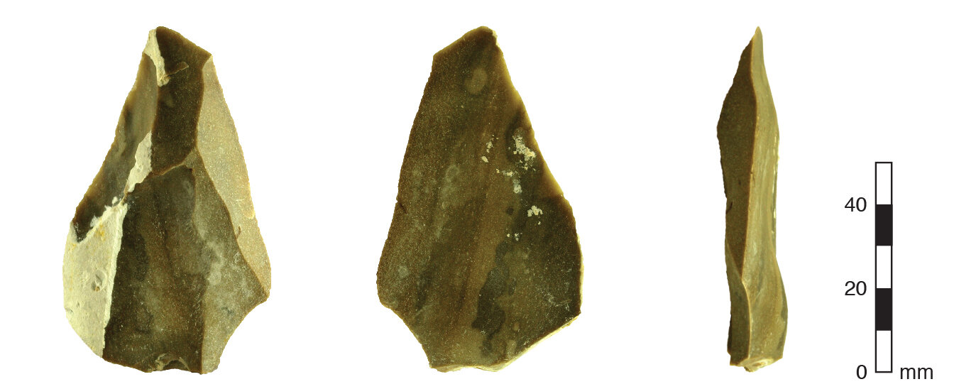 研究人员发现早期人类移民沿着郁郁葱葱的走廊路线离开非洲