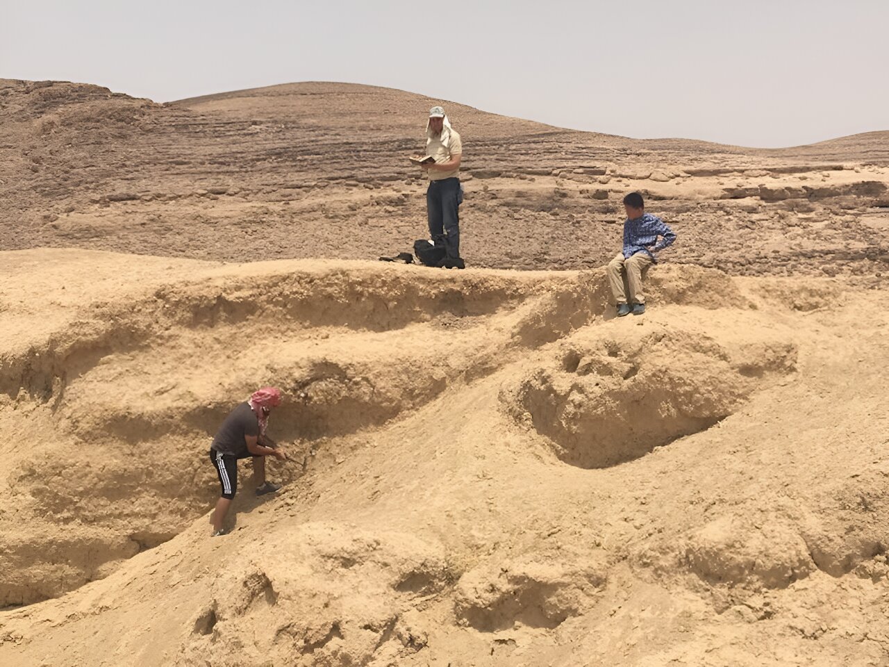 早期人类通过曾经郁郁葱葱的阿拉伯半岛迁徙的新路径与单一的“走出非洲”起源相矛盾