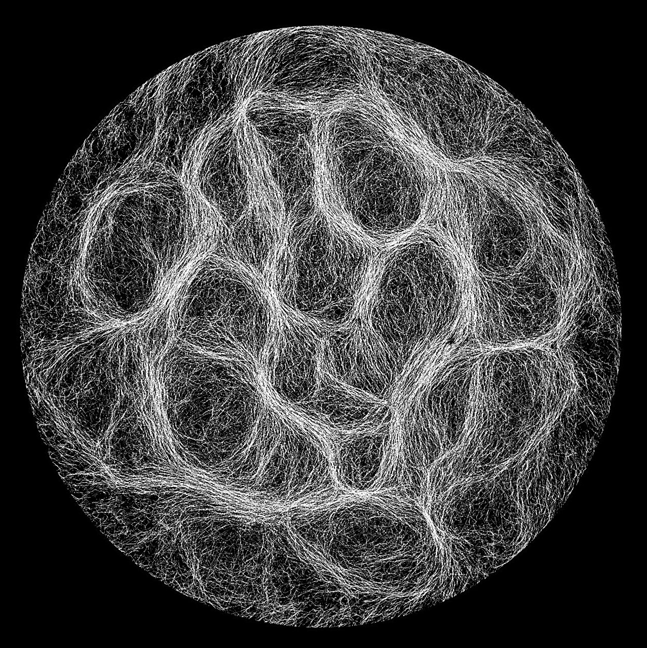 ��ѧ�ҽ����˽���������ú͸��������Ĺ�������Ķ����γ�