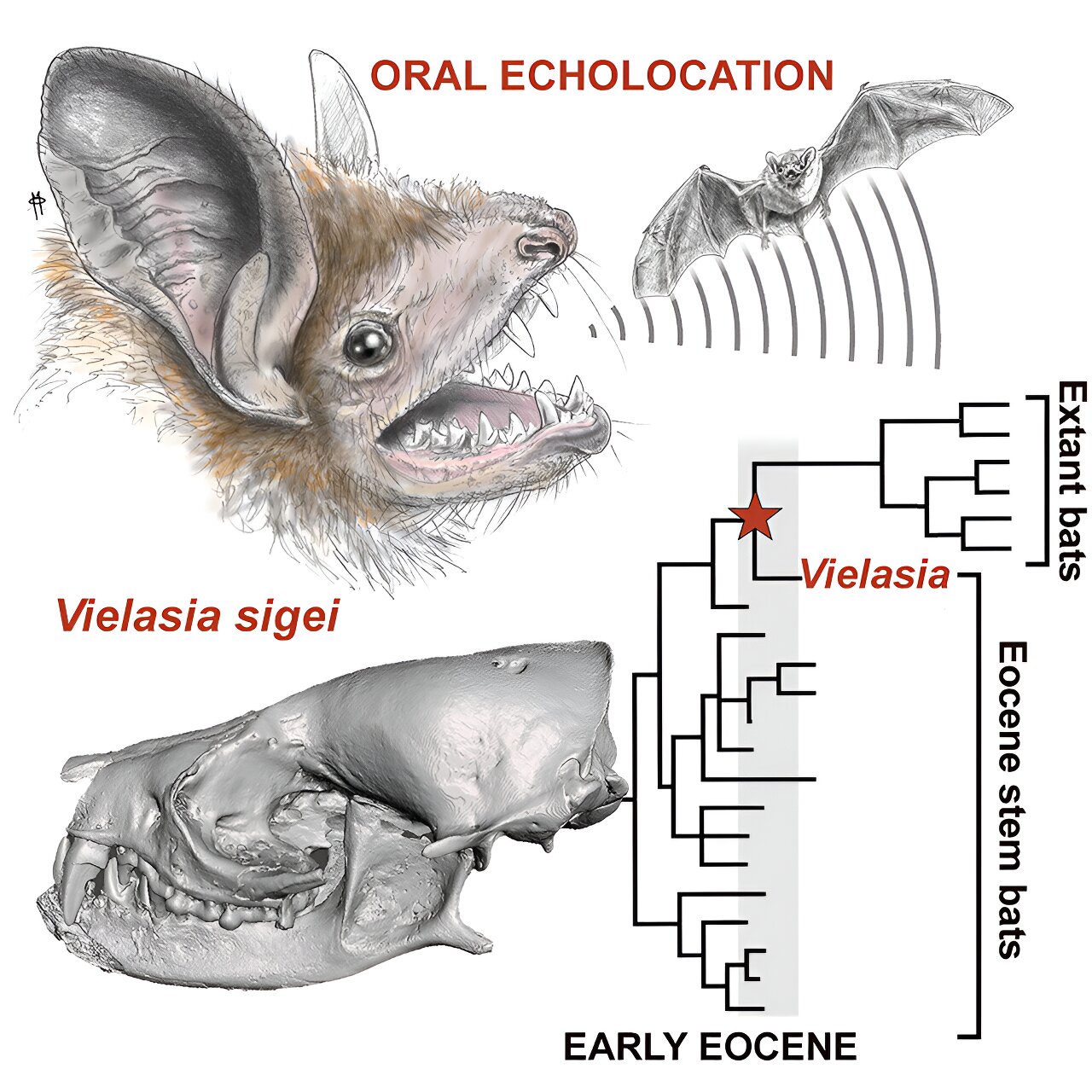 5000����ǰ����ͷ�ǻ�ʯΪ����֮����������Ҫ��һ��
