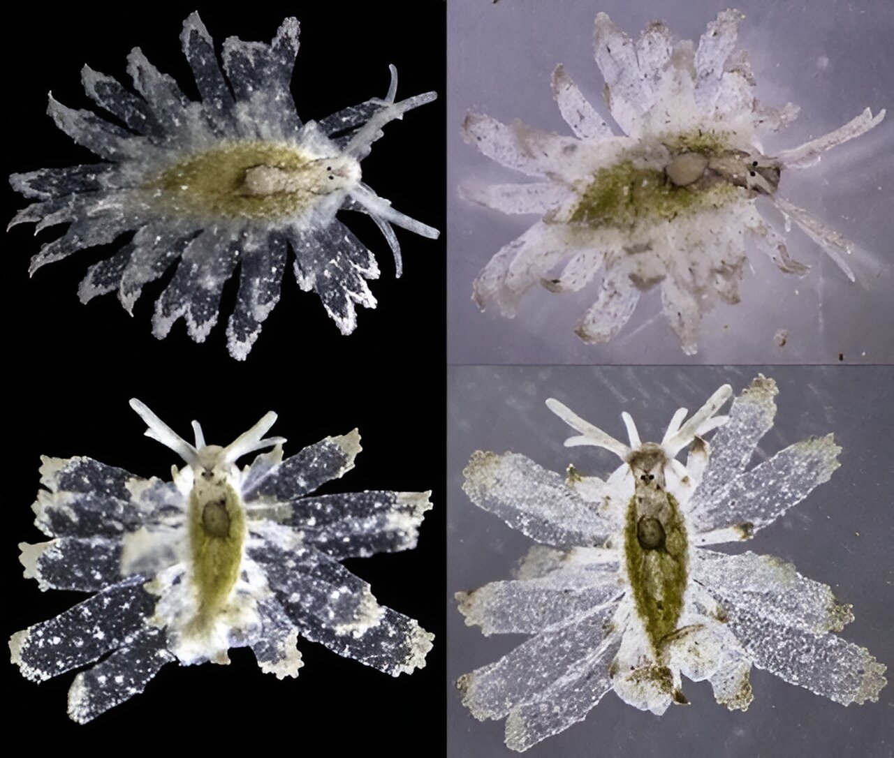 ����������ѧ�����������º���������