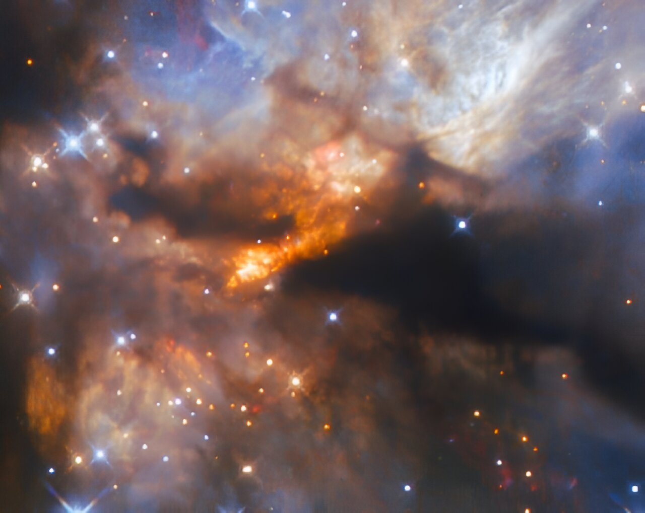 这个黑暗的星云隐藏着一颗巨大的恒星