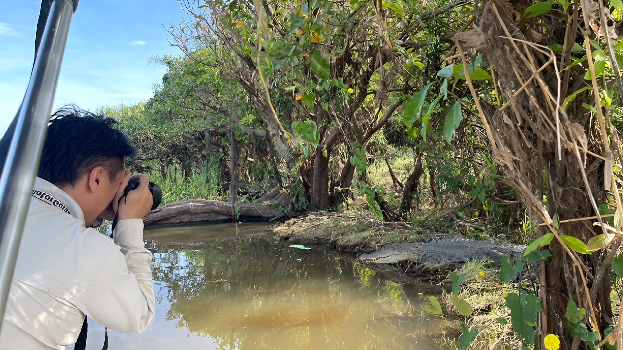 鳄鱼的生活:不仅仅是看上去的那样