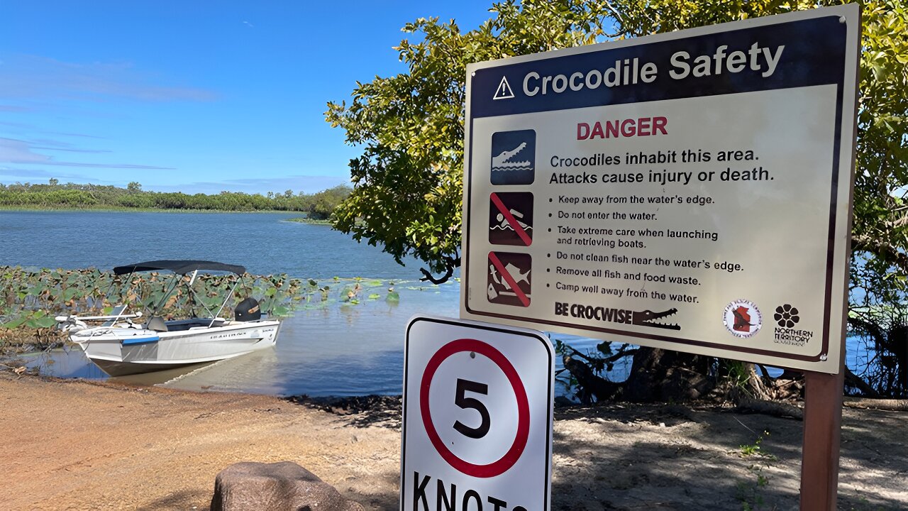 鳄鱼的生活:不仅仅是看上去的那样