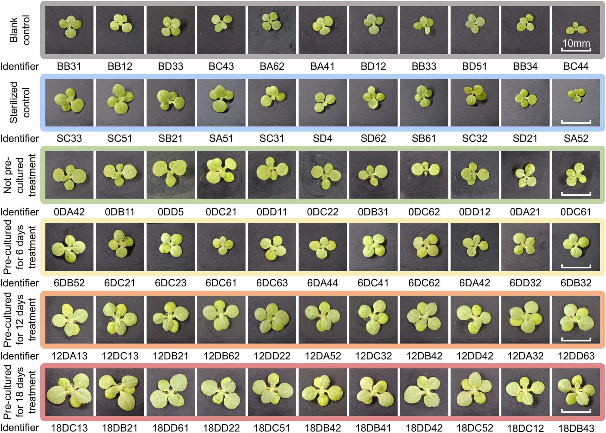 利用细菌使月球土壤更加肥沃
