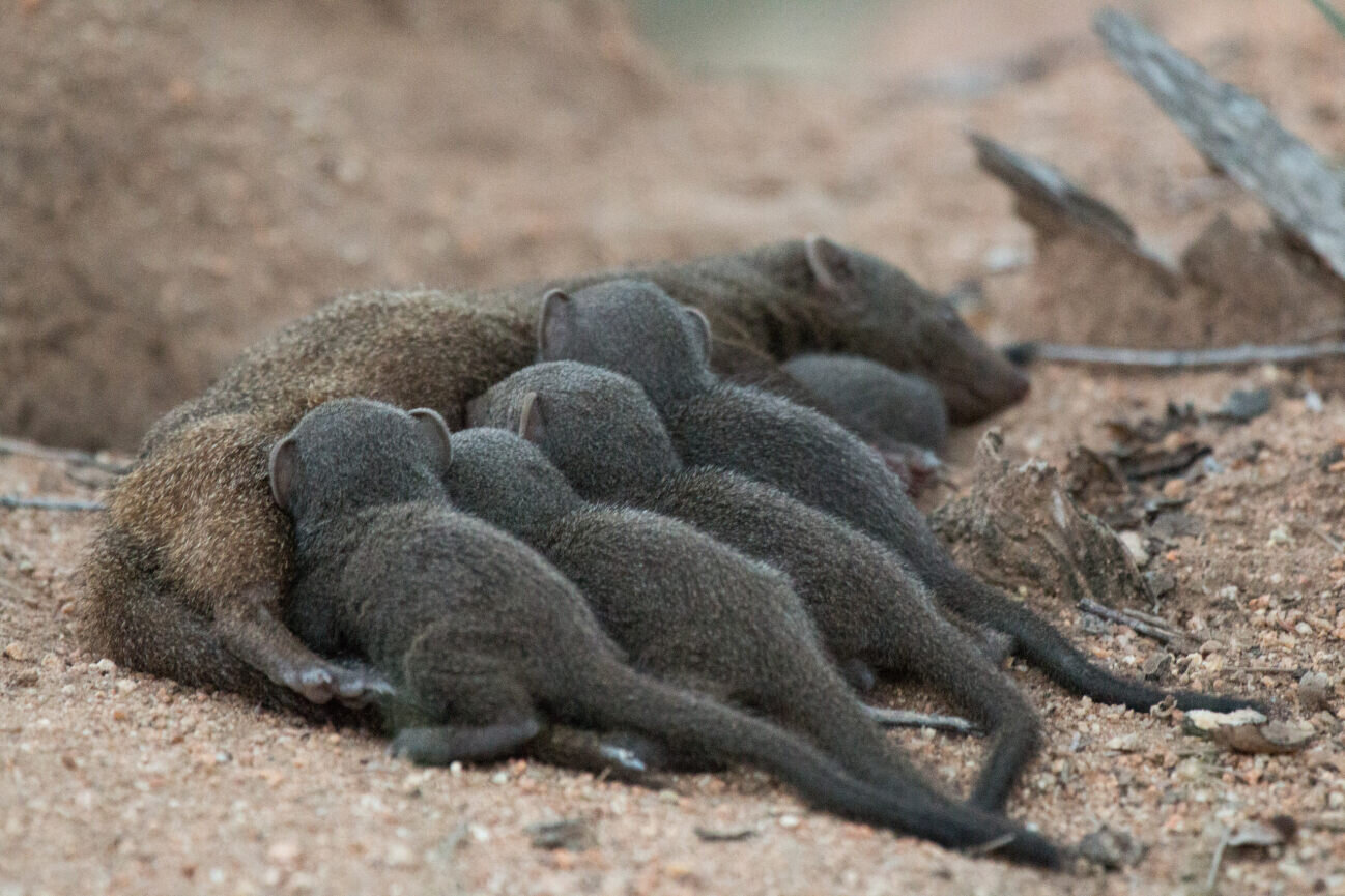 ͻвè̵Ĵʣоս˹ڷֳɹĳ