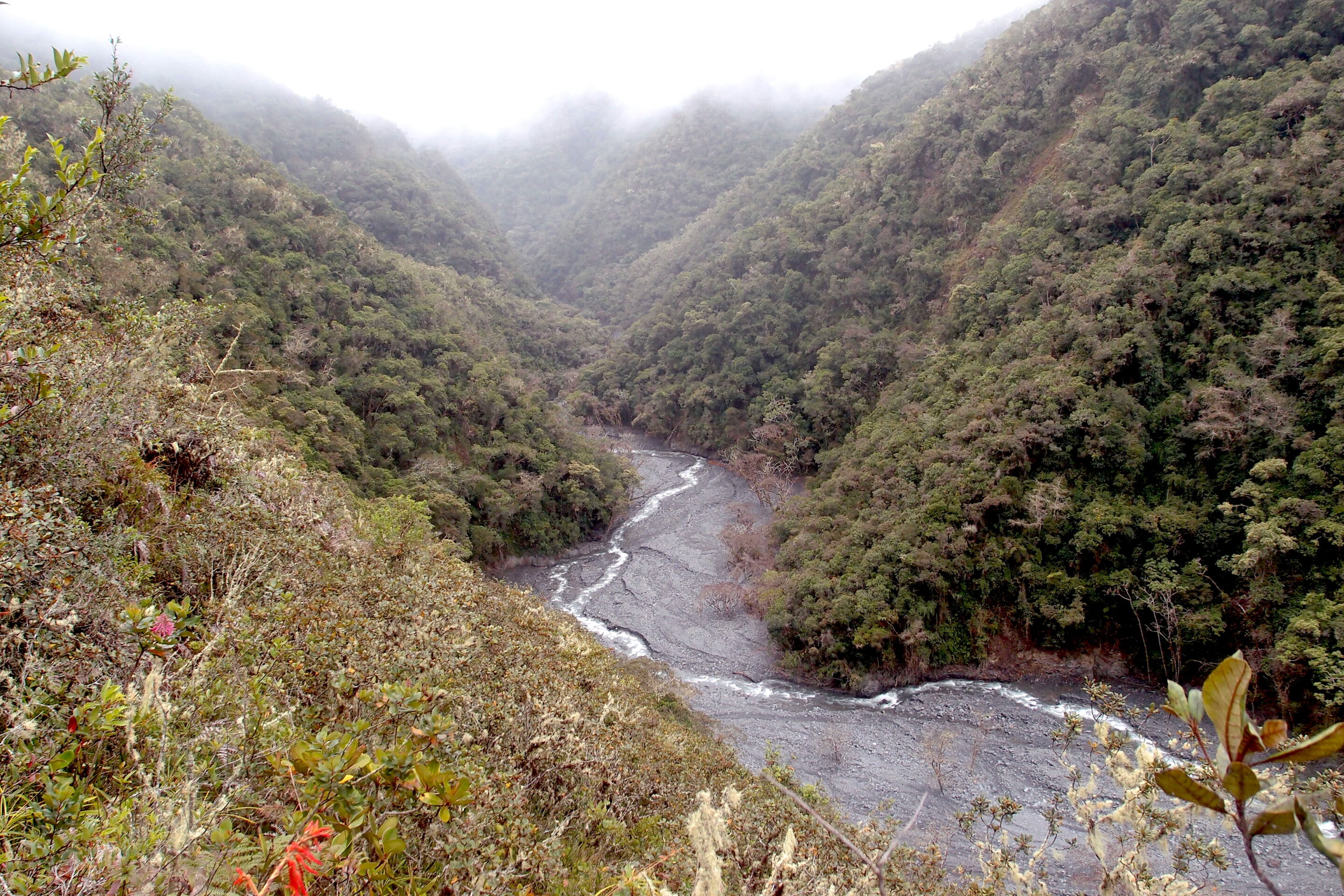 研究揭示了地球如何循环化石碳