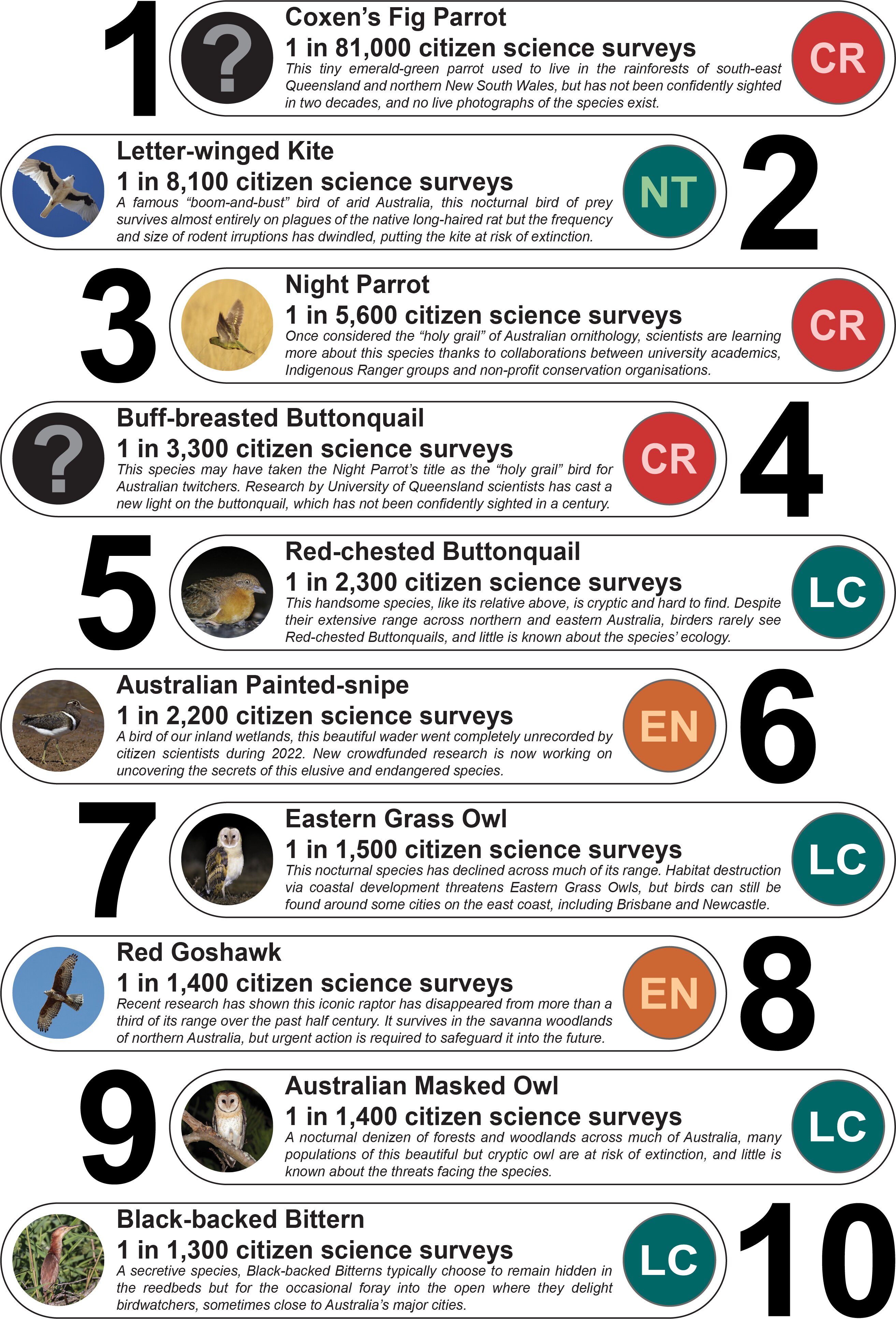 识别澳大利亚最神秘的鸟类