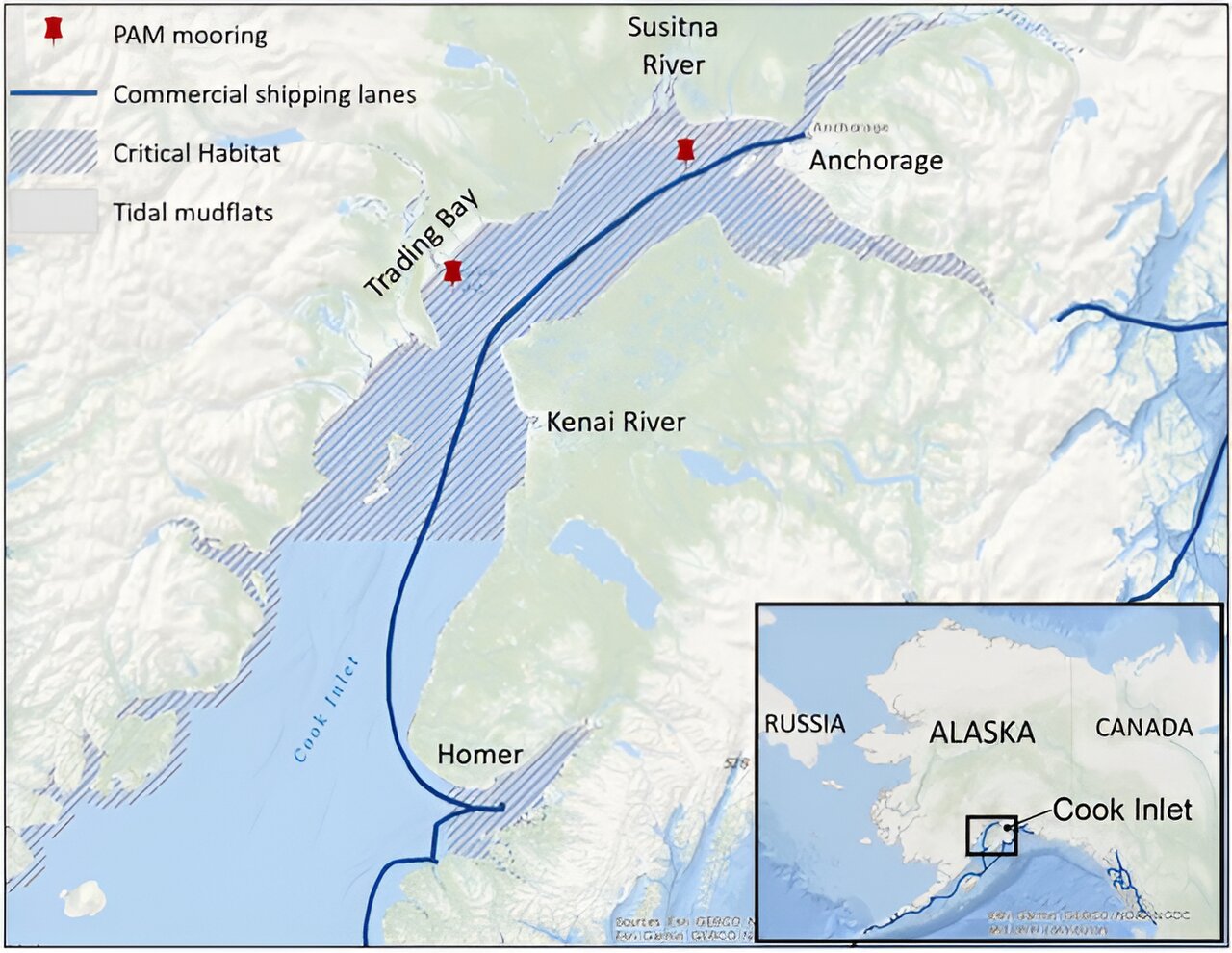 阿拉斯加库克湾的船只噪音可能会淹没白鲸的叫声