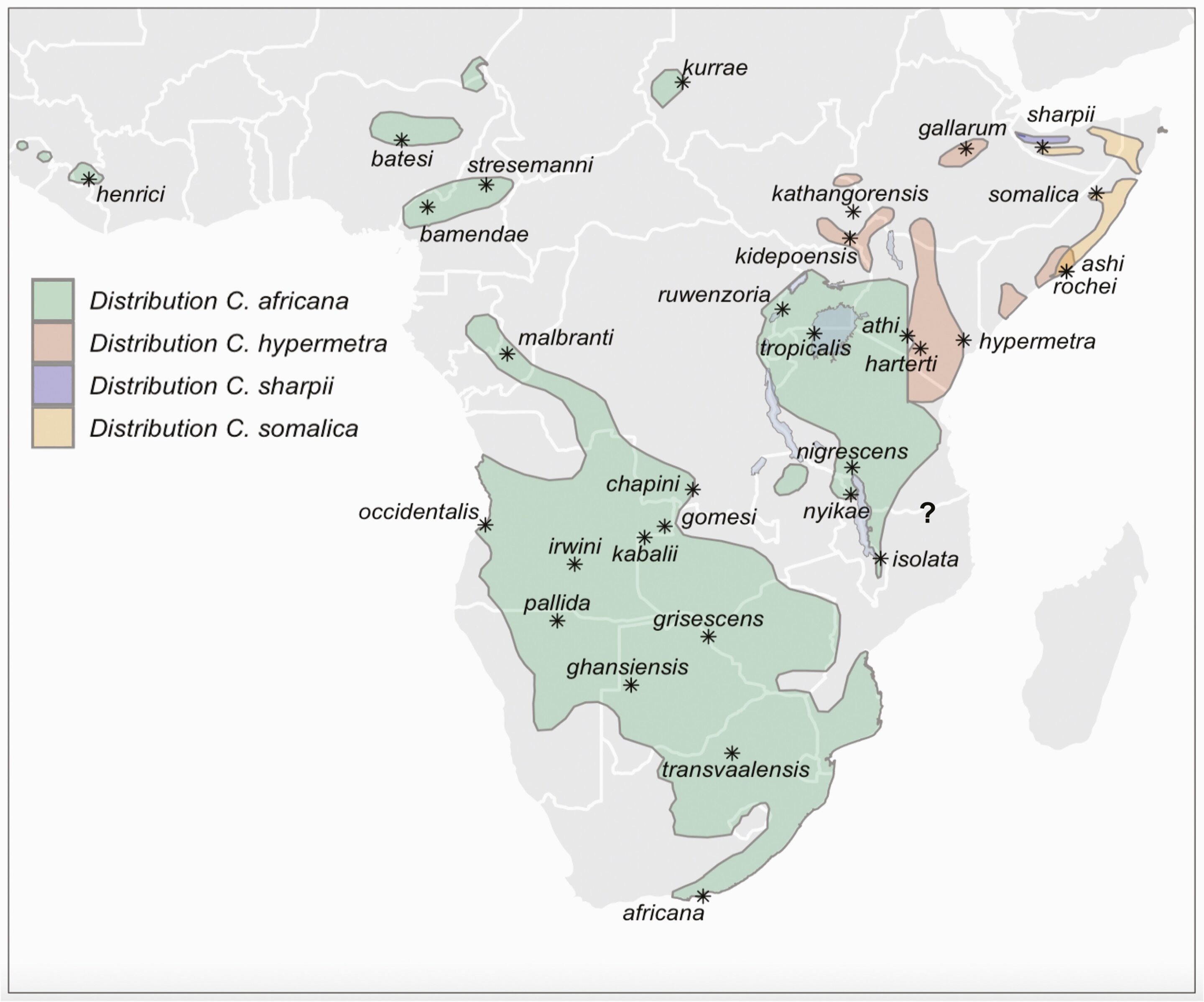 非洲发现新云雀