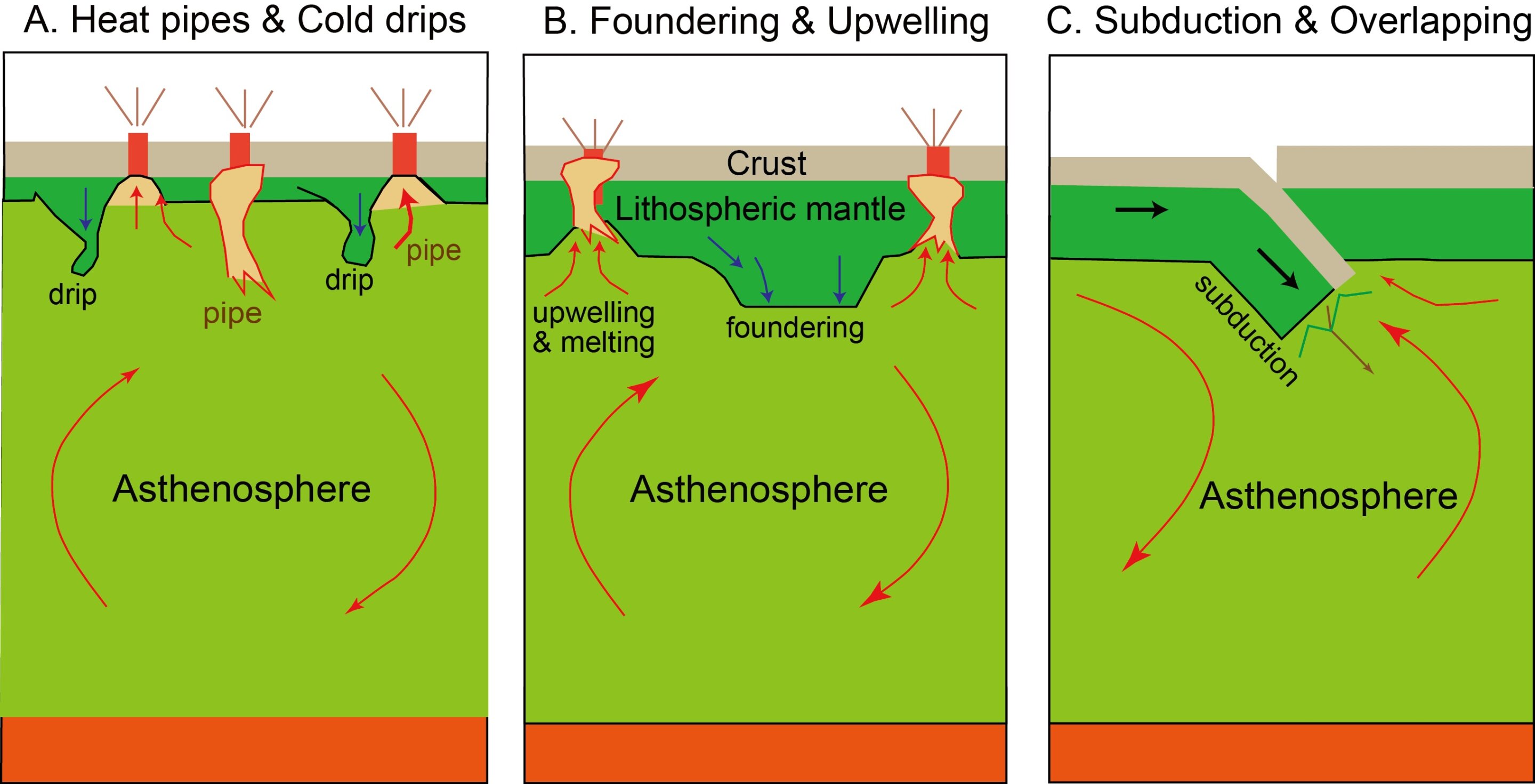 太古代的板块构造:观察与解释
