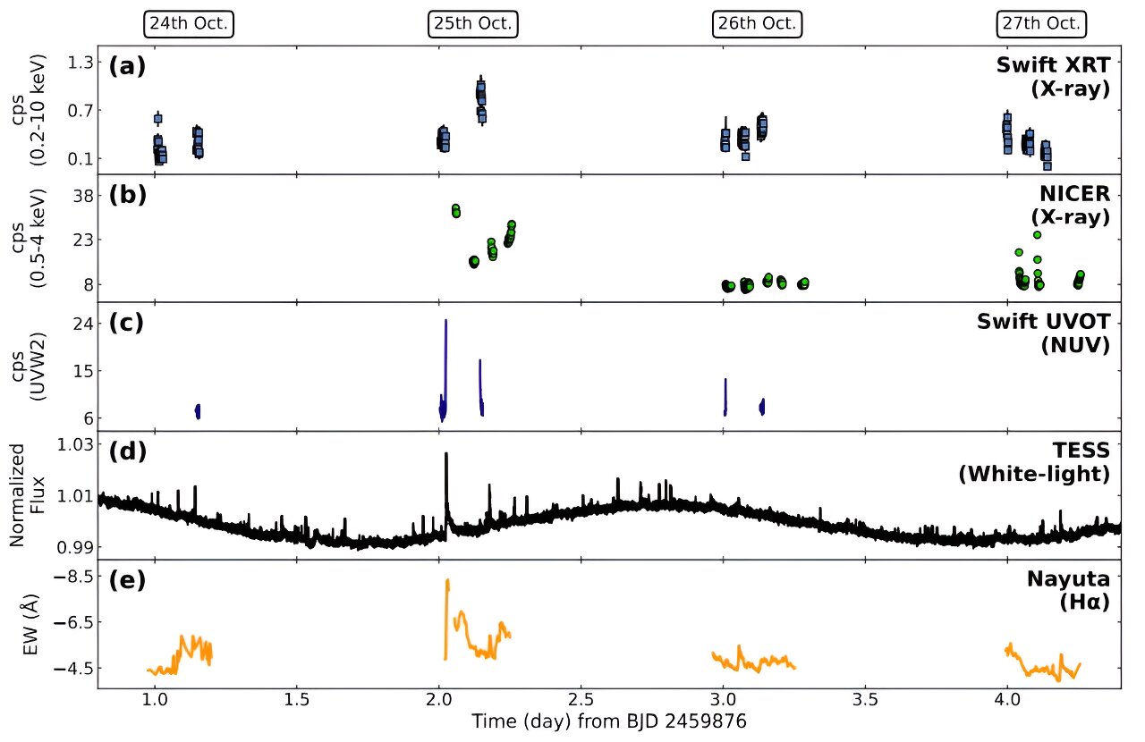 从EV Lacertae探测到新的大型恒星耀斑