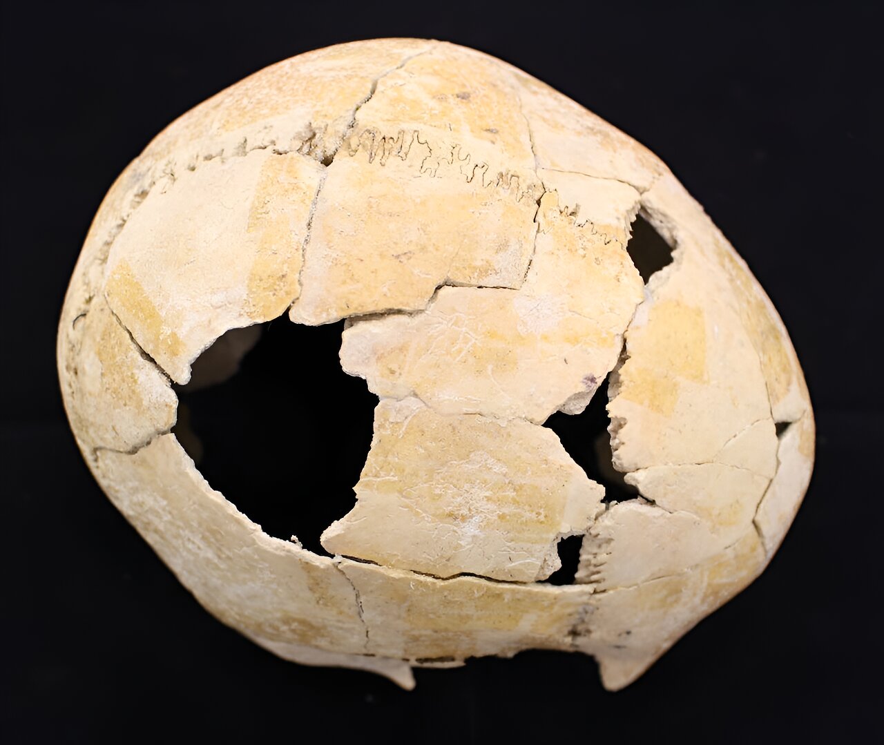 研究人员发现,欧洲的战争已有5000多年的历史