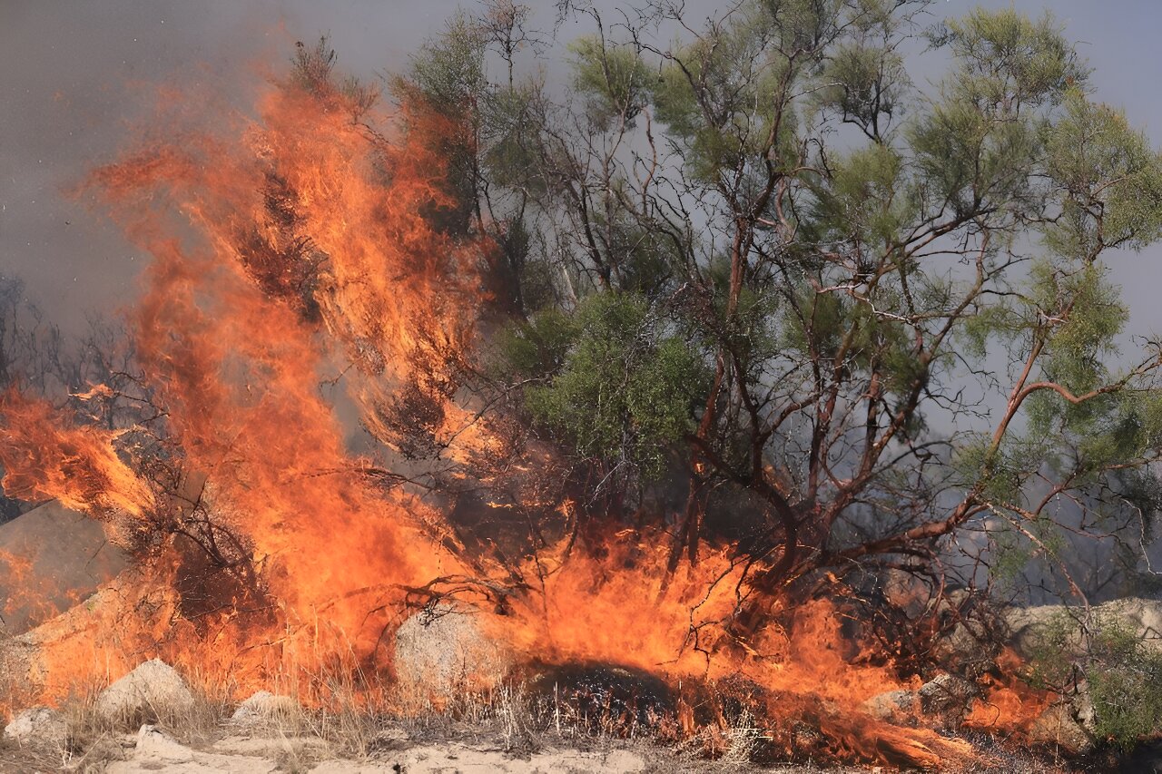 美国国家航空航天局科学家:2023年创纪录的高温部分是由“神秘”过程驱动的