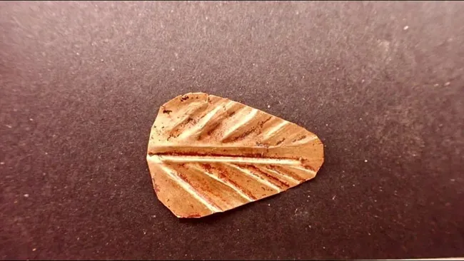 古埃及木乃伊中出土的两条象征“神之肉”的金色舌头