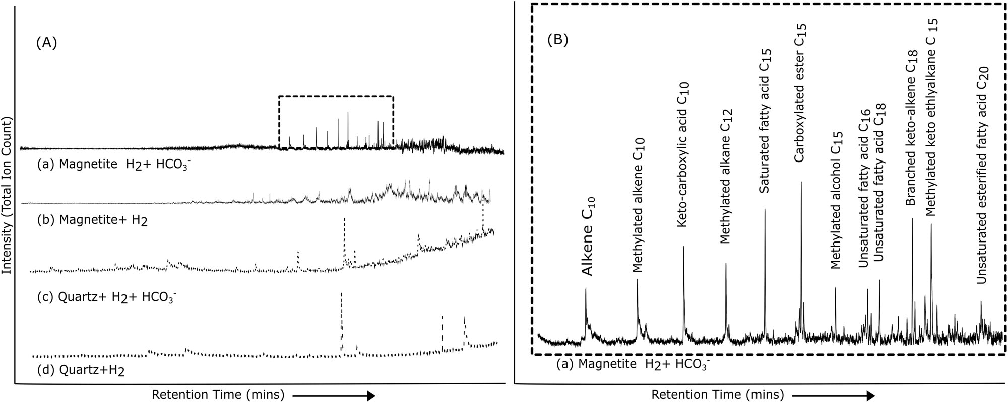 研究揭示了古代温泉中潜在的生命起源