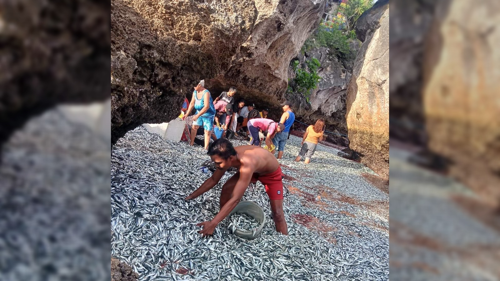 菲律宾棉兰老岛马斯姆海滩沙丁鱼跃出水面的离奇事件是由上升流引起的,而不是地震