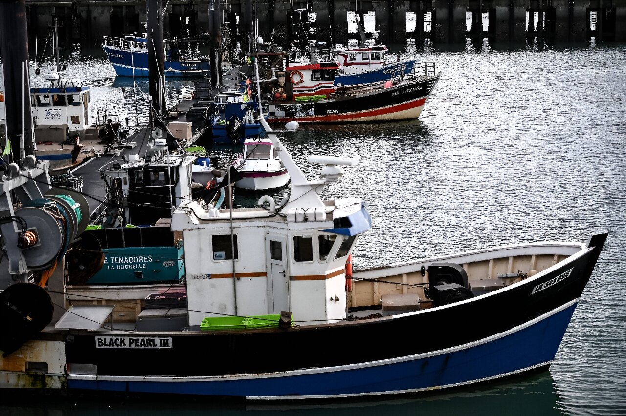 法国下令实施罕见的大西洋捕鱼禁令以保护海豚