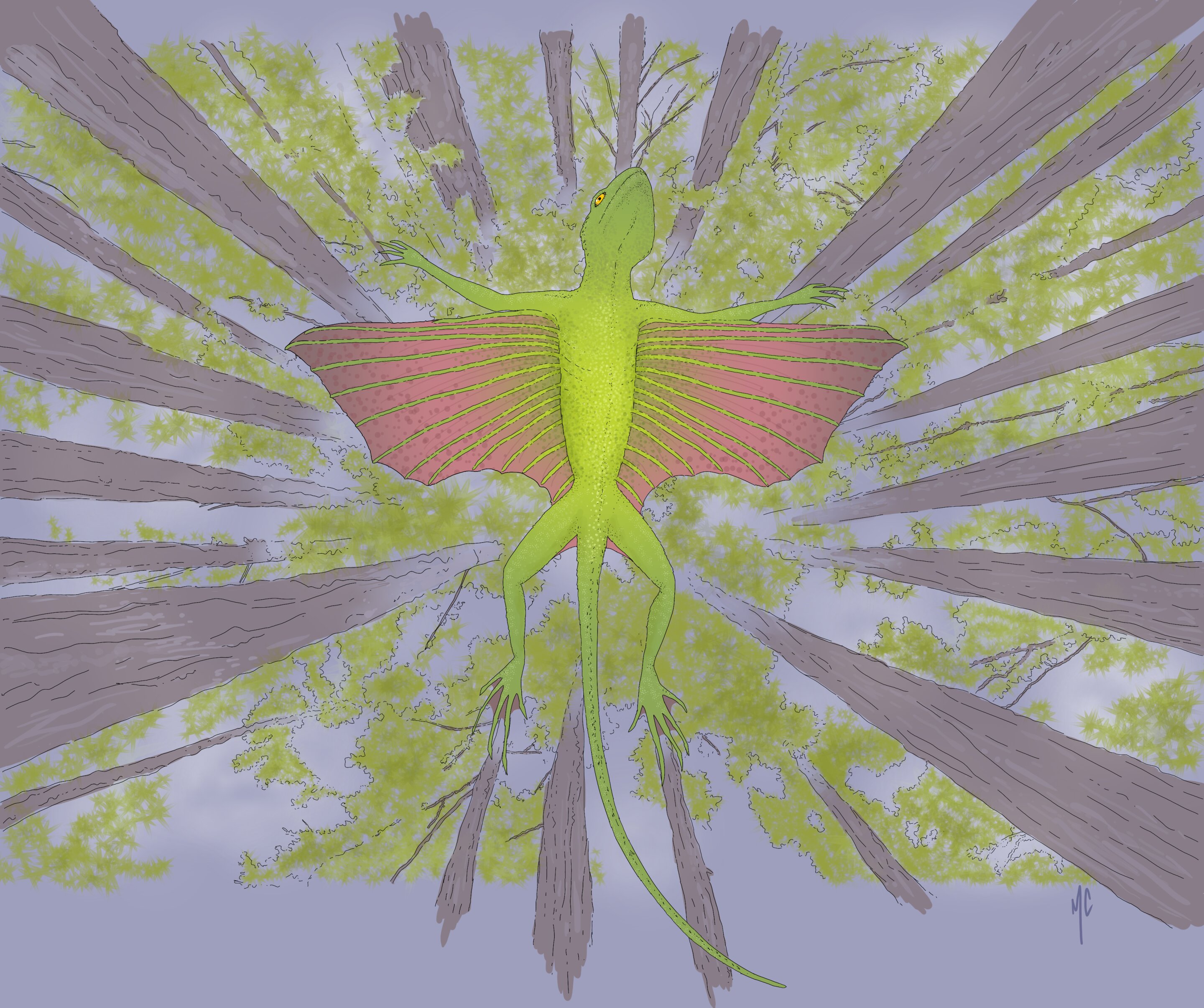 ѧ������Ĭ���ط���2����ǰ�ķ������ж���Kuehneosaurs